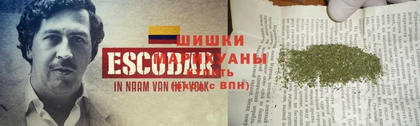 хмурый Абаза
