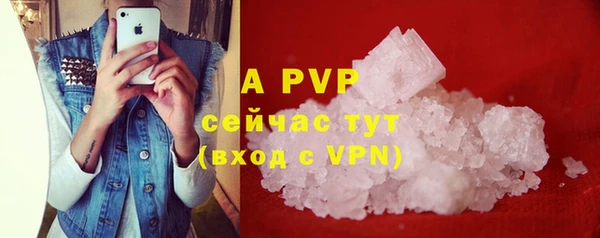 хмурый Абаза