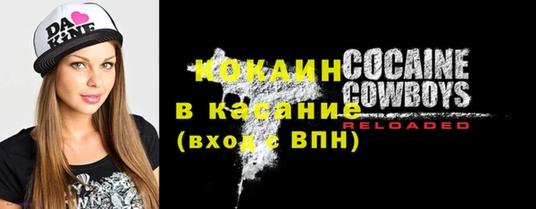 хмурый Абаза