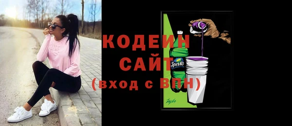 хмурый Абаза
