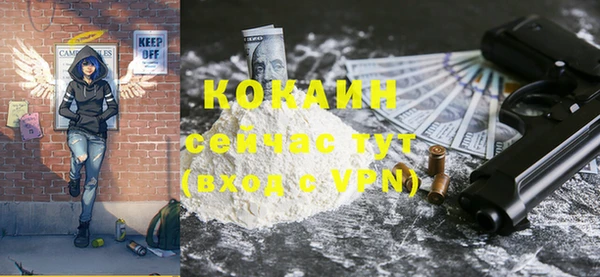 хмурый Абаза