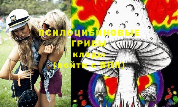 ГАЛЛЮЦИНОГЕННЫЕ ГРИБЫ Абинск