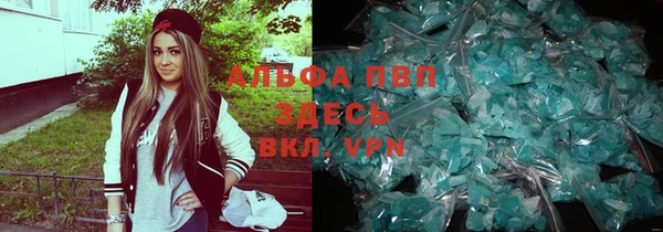 хмурый Абаза