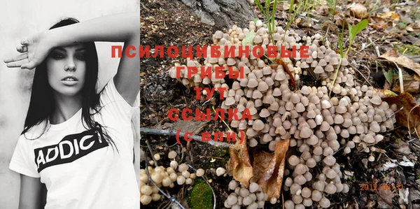 хмурый Абаза