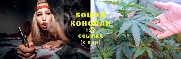 ГАЛЛЮЦИНОГЕННЫЕ ГРИБЫ Абинск